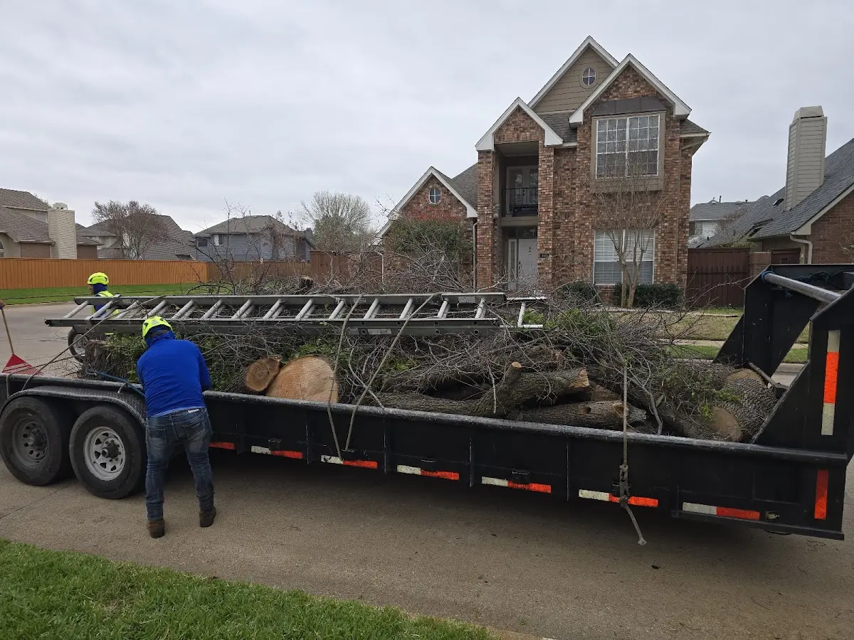Expert Lot Clearing with proper safety equipment in Van